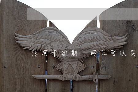 信用卡逾期 网上可以买票 信用卡逾期 网上可以买票